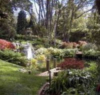 Windyridge Garden Mount Wilson - Tourism Caloundra