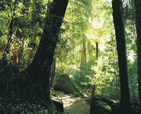 Blue Mountains National Park - Tourism Caloundra 5