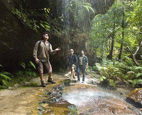 Blue Mountains National Park - Tourism Caloundra 3