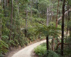 Blue Mountains National Park - Tourism Caloundra 8