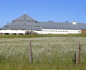 Deeargee Woolshed - Tourism Caloundra 0