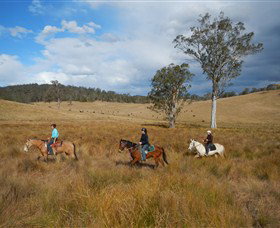 Howes Valley NSW Tourism Caloundra