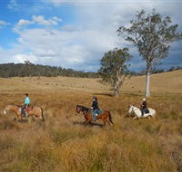 Chapman Valley Horse Riding - Tourism Caloundra