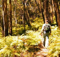 Federal Pass - Tourism Caloundra
