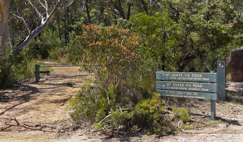 Mount Banks Road Cycle Route - Tourism Caloundra 1