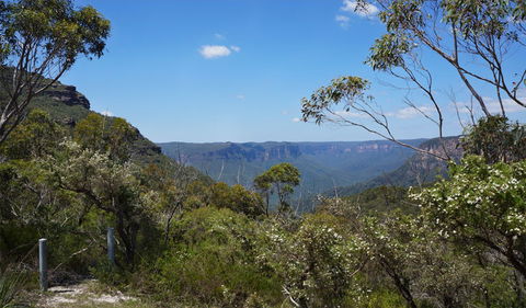 Mount Banks Road Cycle Route - Tourism Caloundra 2