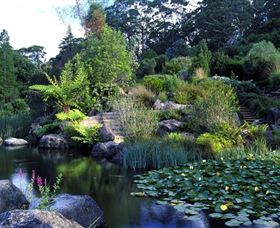 Blue Mountains Botanic Garden - Tourism Caloundra 1