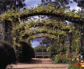 Blue Mountains Botanic Garden - Tourism Caloundra 0