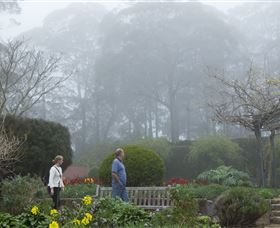 Blue Mountains Botanic Garden - Tourism Caloundra 6