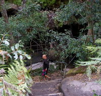 Leura Cascades Fern Bower - Tourism Caloundra