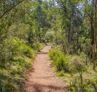 Mares Forest Creek walking track - Tourism Caloundra