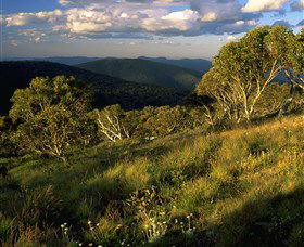 Namadgi National Park And Visitors Centre - Tourism Caloundra 2