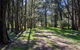 Wombeyan Waterfall Walking Track - thumb 0