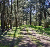Wombeyan Waterfall walking track - Tourism Caloundra