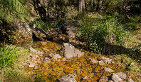 Wombeyan Waterfall Walking Track - Tourism Caloundra 1