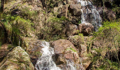 Wombeyan Waterfall Walking Track - Tourism Caloundra 3