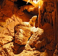 Fig Tree Cave - Tourism Caloundra