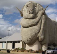 Big Merino - Tourism Caloundra