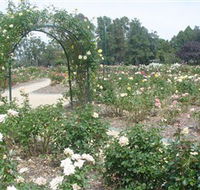 Victoria Park Rose Garden - Tourism Caloundra