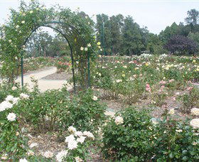 Victoria Park Rose Garden - Tourism Caloundra 0