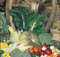 Mulgowie Real Farmers Markets - Tourism Caloundra