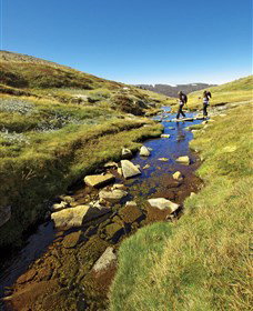 Sawpit Creek NSW Tourism Caloundra