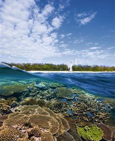 Southern Great Barrier Reef - Tourism Caloundra 2