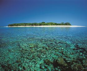 Southern Great Barrier Reef - Tourism Caloundra 3