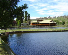 Gaden Trout Hatchery - Tourism Caloundra 0