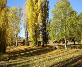 Gaden Trout Hatchery - Tourism Caloundra 1