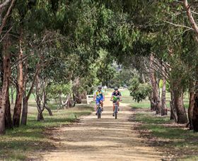 Gippsland Plains Rail Trail - Tourism Caloundra 3