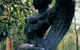 Norman Lindsay Gallery - thumb 1