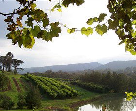 Enniskillen Orchard - Tourism Caloundra 1