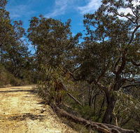 Parr State Conservation Area - Tourism Caloundra