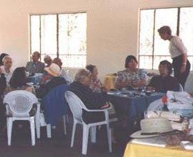 Calamunnda Camel Farm  - Tourism Caloundra 1