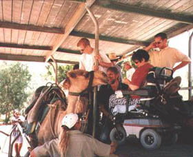 Calamunnda Camel Farm  - Tourism Caloundra 3