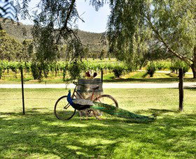 Stomp! Wines - Tourism Caloundra 3