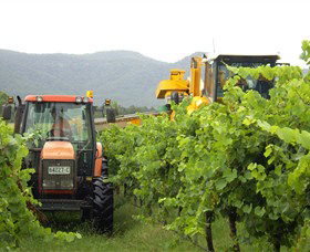 Stomp! Wines - Tourism Caloundra 8