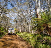 Barrington trail - Tourism Caloundra