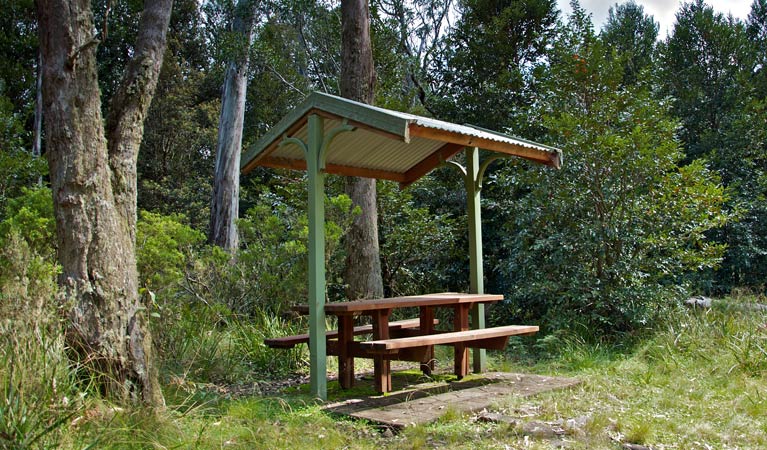 Callaghans Creek NSW Tourism Caloundra