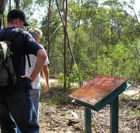 Finchley cultural walk - Tourism Caloundra