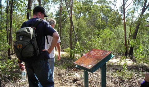 Finchley Cultural Walk - Tourism Caloundra 0