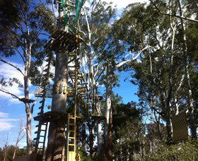 Trees Adventure Grose River Park - Tourism Caloundra 1
