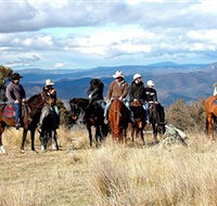 Snowy Wilderness - Tourism Caloundra