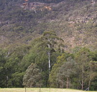 Bangadilly National Park - Tourism Caloundra