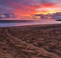 Mon Repos Beach - Tourism Caloundra