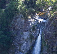 Lyrebird Falls walking track - Tourism Caloundra