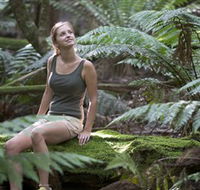 Barrington Tops National Park - Honeysuckle Forest Track - Tourism Caloundra