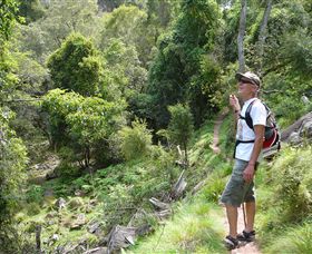 Mitchell River Walking Track - Tourism Caloundra 1