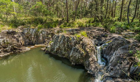 Gorge Walking Track - Tourism Caloundra 1